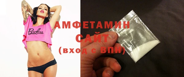 прущие грибы Дмитриев