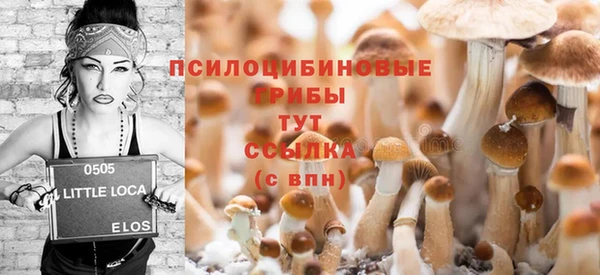 spice Дмитров